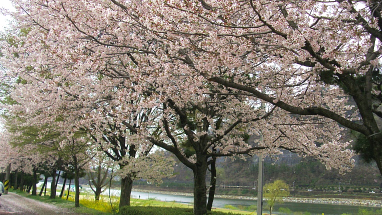 2467FB4B5702225203D48F