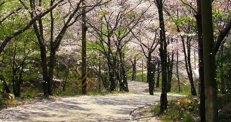 24686B4B5529B0752B5B92