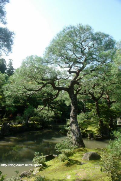 #11 은각사(銀閣寺, 긴카쿠지)