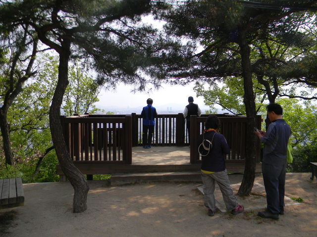 구룡산정상 조망대 이미지