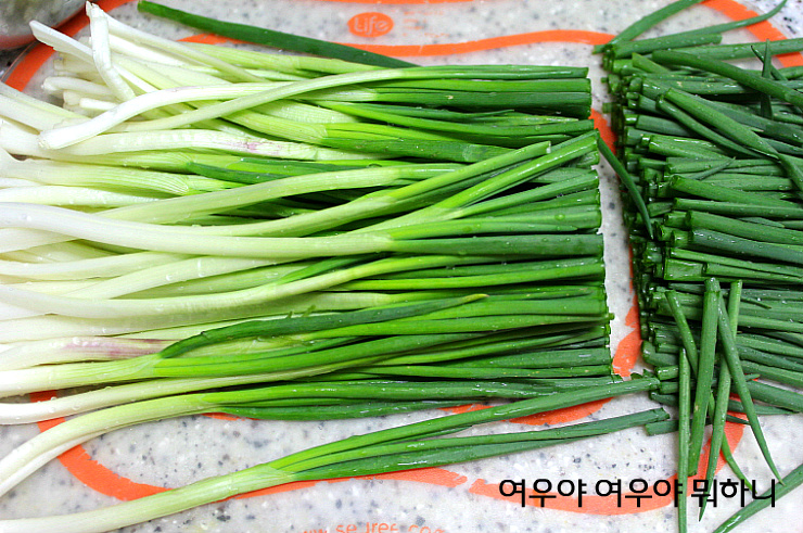 동래해물파전 이미지