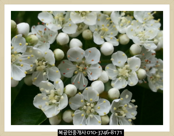 &겸손,현명하게사는법,좋은글중에서~