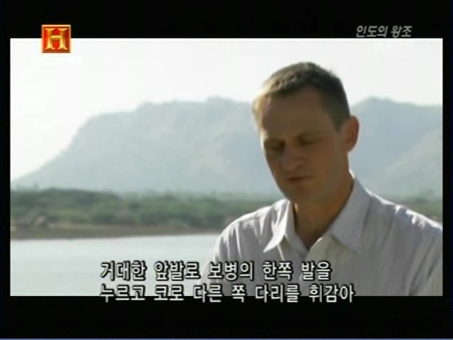 인도의 무굴 제국에서 사용한 전투 코끼리 갑옷 | 인스티즈