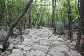 장보고 /무도장 생음악 지루박 21곡