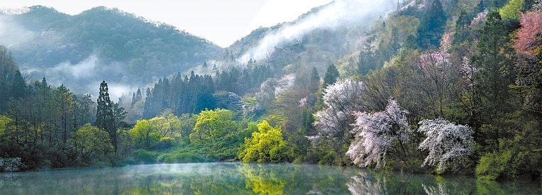 요즘 무동산 시장의 특이한점