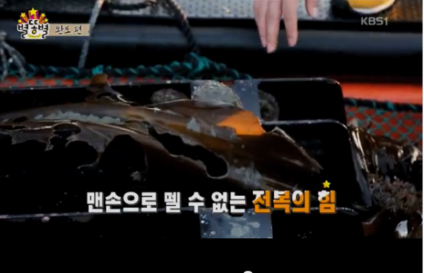 완도참전복 이미지