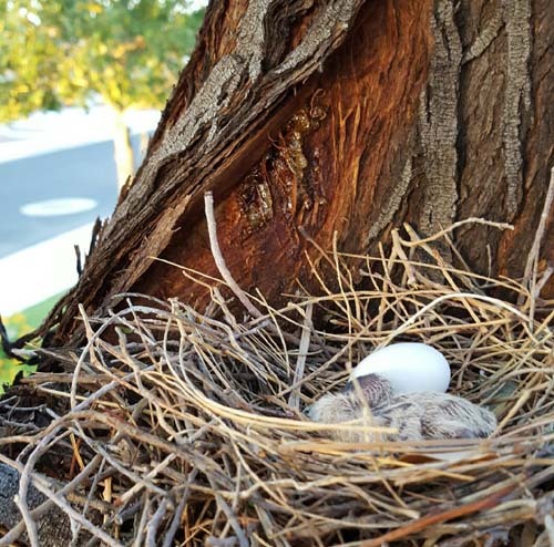 25474C4E574A91290C1457