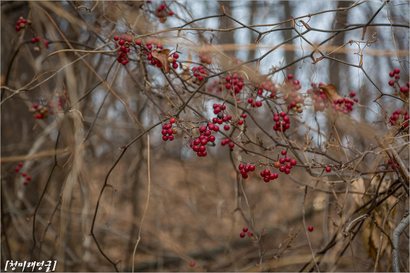 2016.12.31 인천 삼형제섬길(신도, 시도, 모도)을 걷다