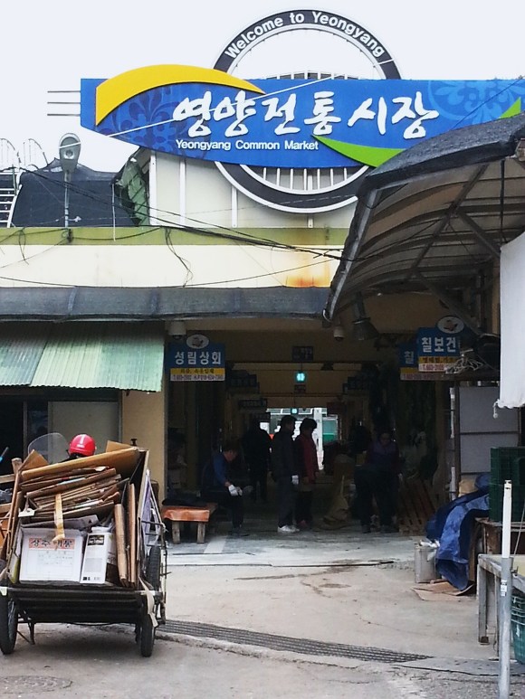 경북 영양군 검마산 휴양림에서 꽃작교 2주년을 기념하며 자연동화!