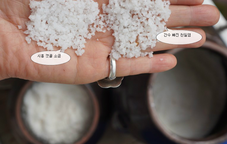 서울통신 이미지