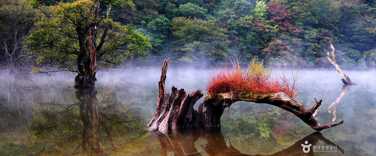 26464145570517052EED45