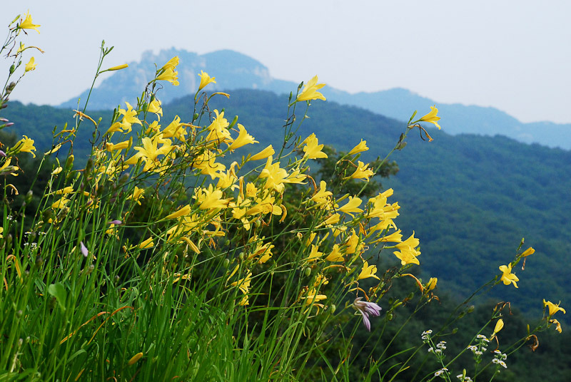 화명수목원 이미지