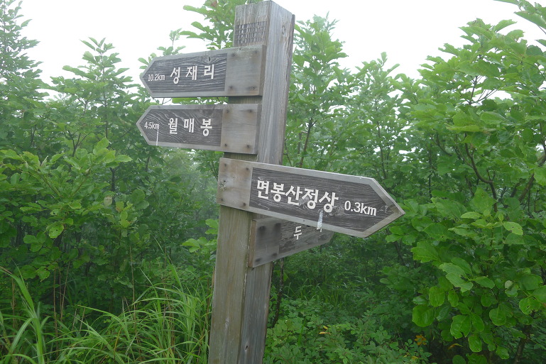 보현, 면봉산 이미지