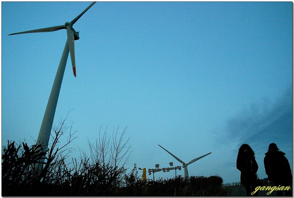 강구에서 영덕대게 맛을 즐기고 영덕풍력발전단지의 저녁노을을 만나다.