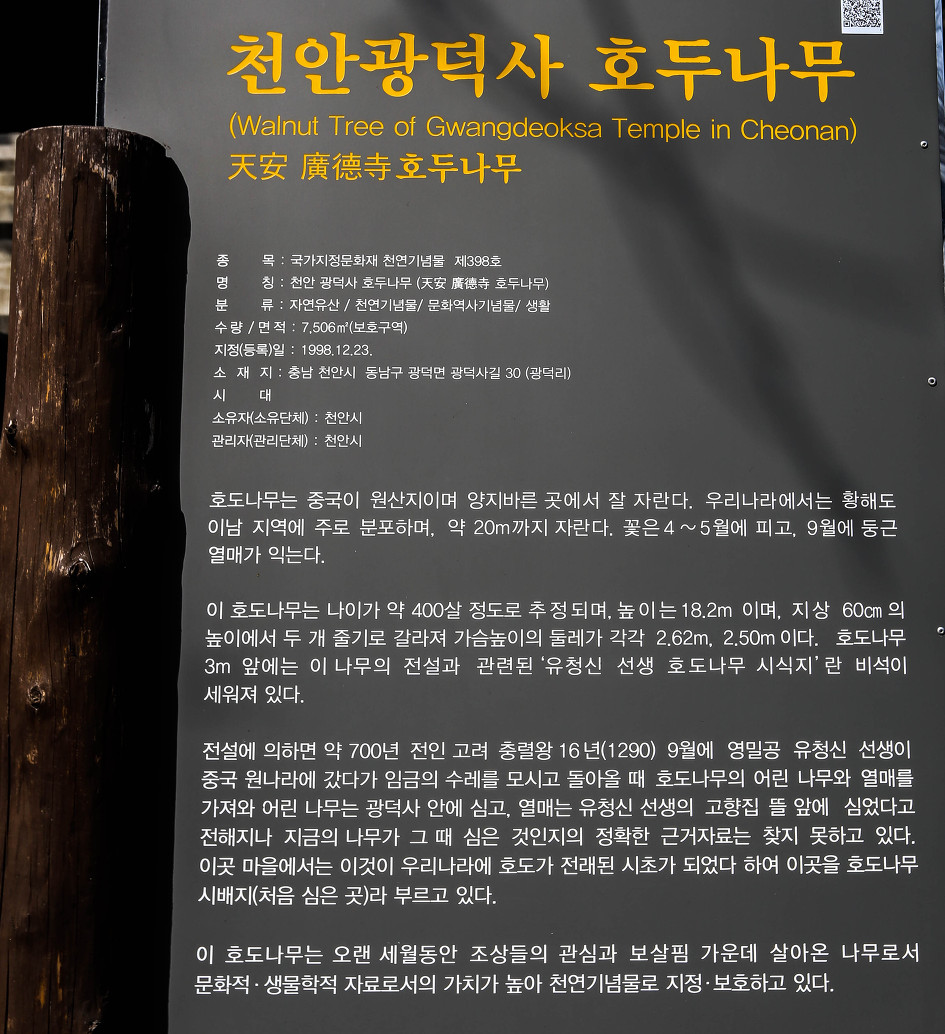 광덕사 이미지