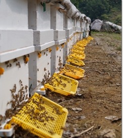 지리산농장 이미지