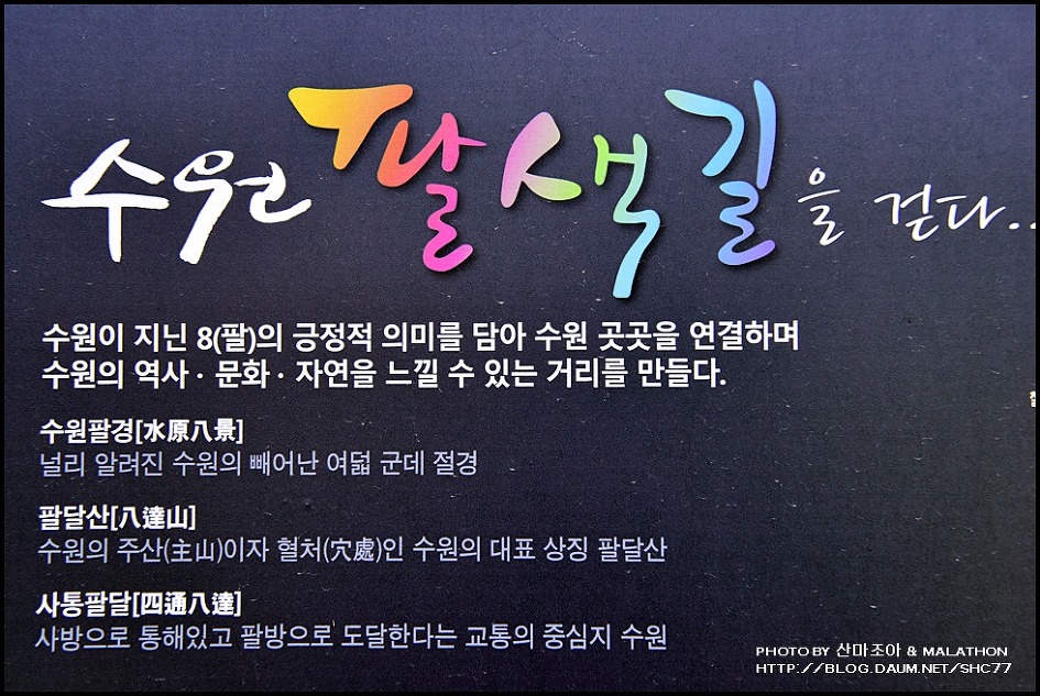 흰뺨검둥오리 부부 수원화성 나들이