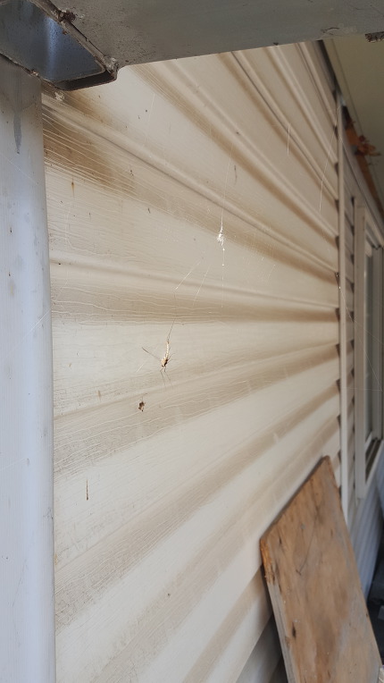 생존이 시작 되다