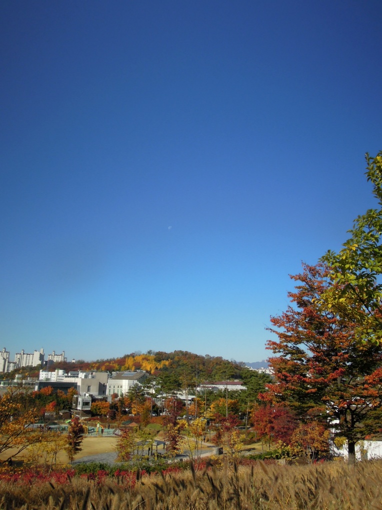 시월풍경 속에서..