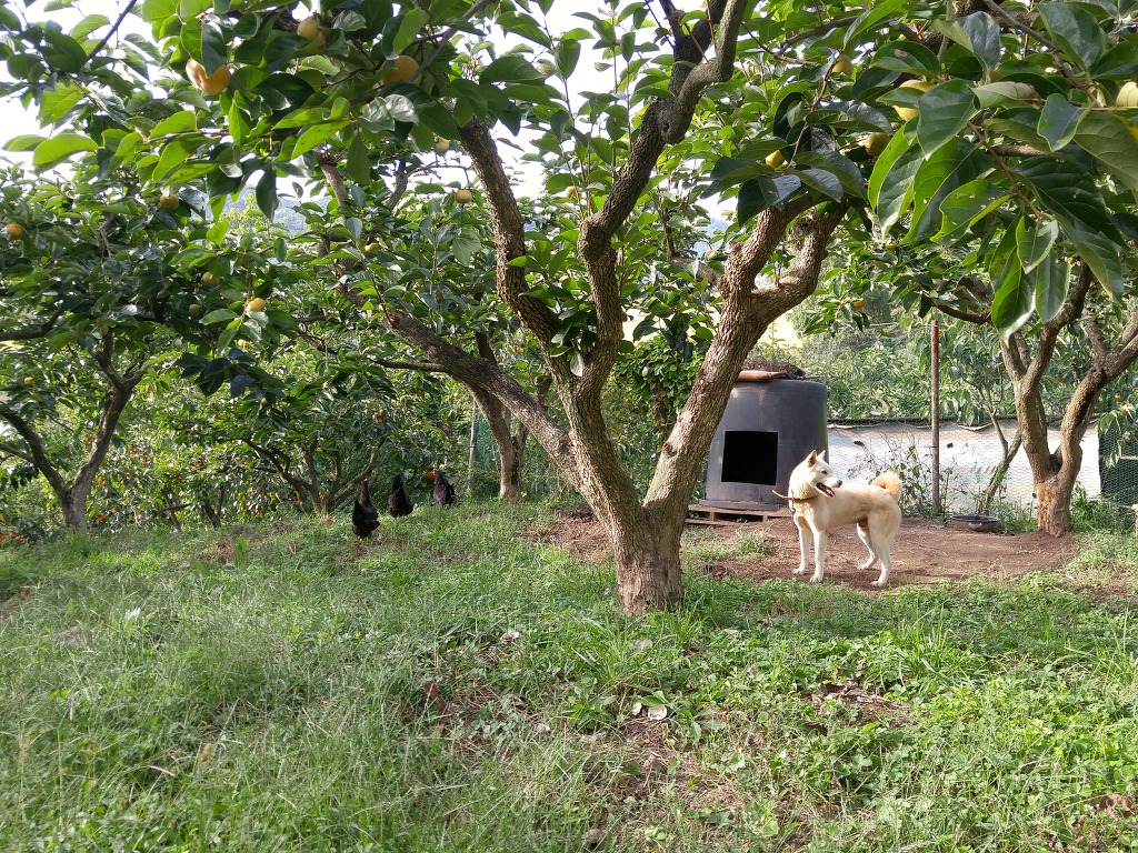 산기슭 농원 지키미