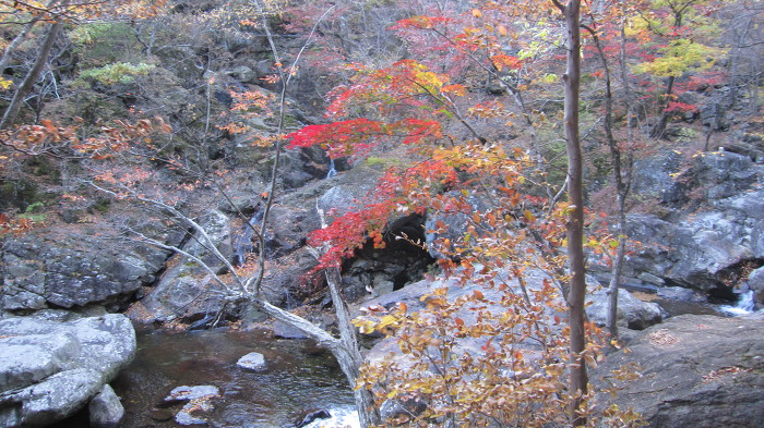 지리산 피아골 단풍 산행기