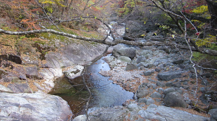 지리산 피아골 단풍 산행기