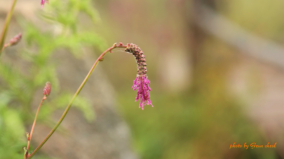 지리산 반야봉..2018.09.02