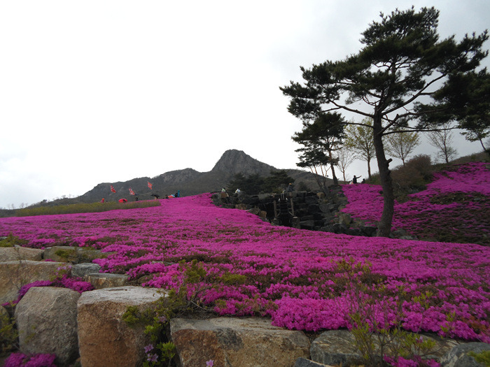 원본이미지(클릭)