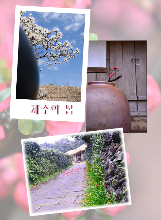 제주도에서