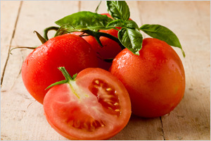 '수출용 토마토' 이산화탄소 처리로 부패율 줄인다 