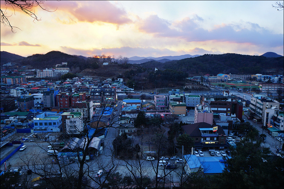 공주 공산성을 지키는 나무들