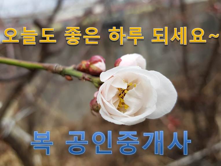 @ 대전 아이파크시티 분양일정. 아이파크 시티 조감도 