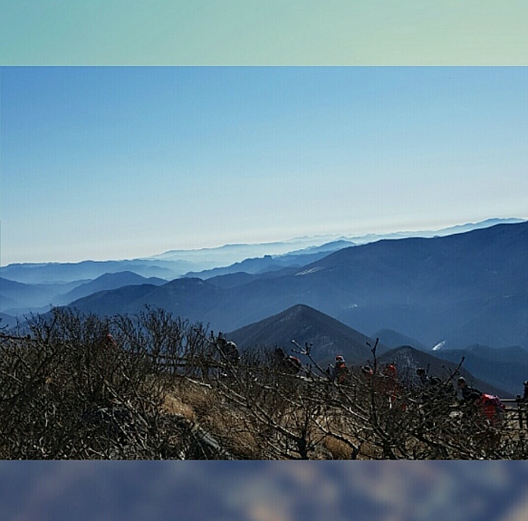 함백산[ 咸白山 ] 