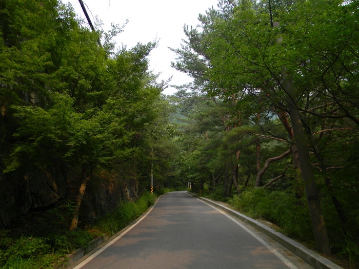 양산 내원사계곡과 산령각, 700여년 묵은 소나무
