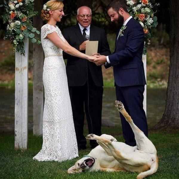 이 결혼 반댈세