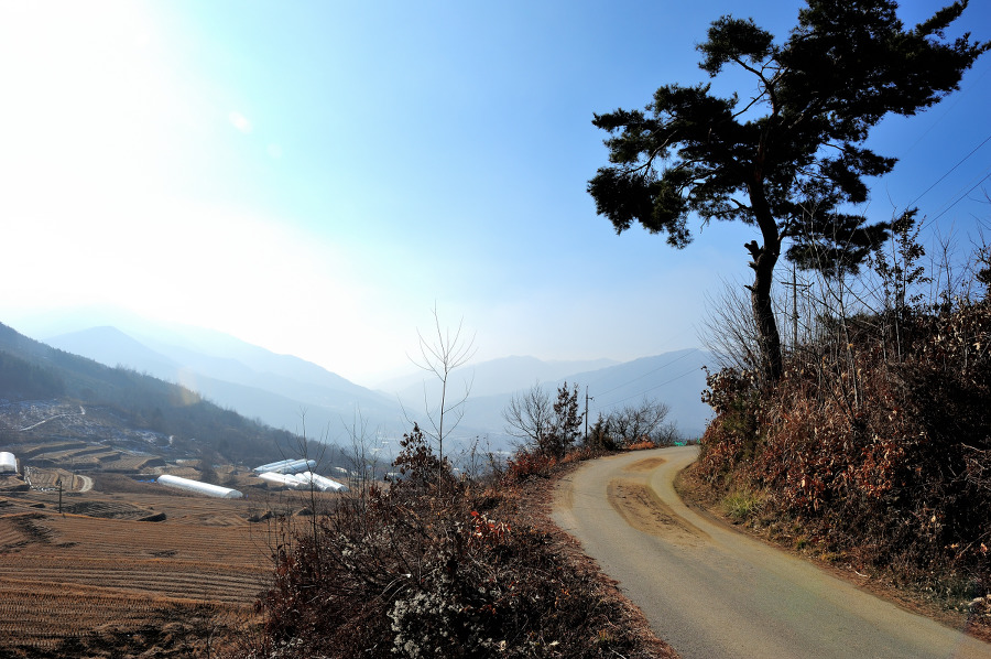 지리산 둘레길 3코스, 그리고 금대암