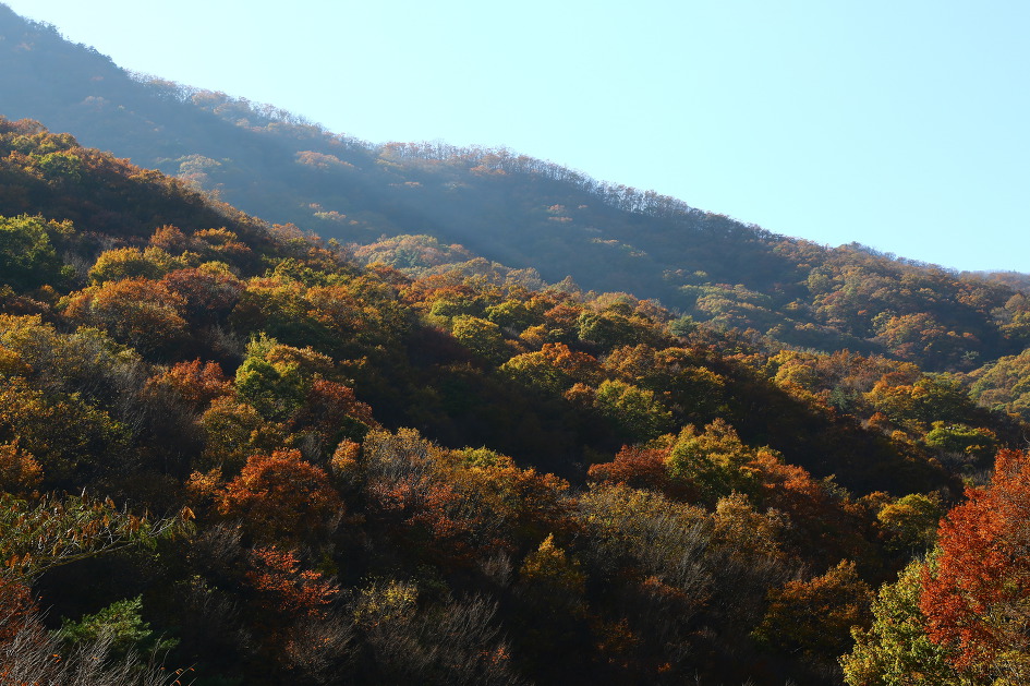 피아 능선에 찾아 든 햇살