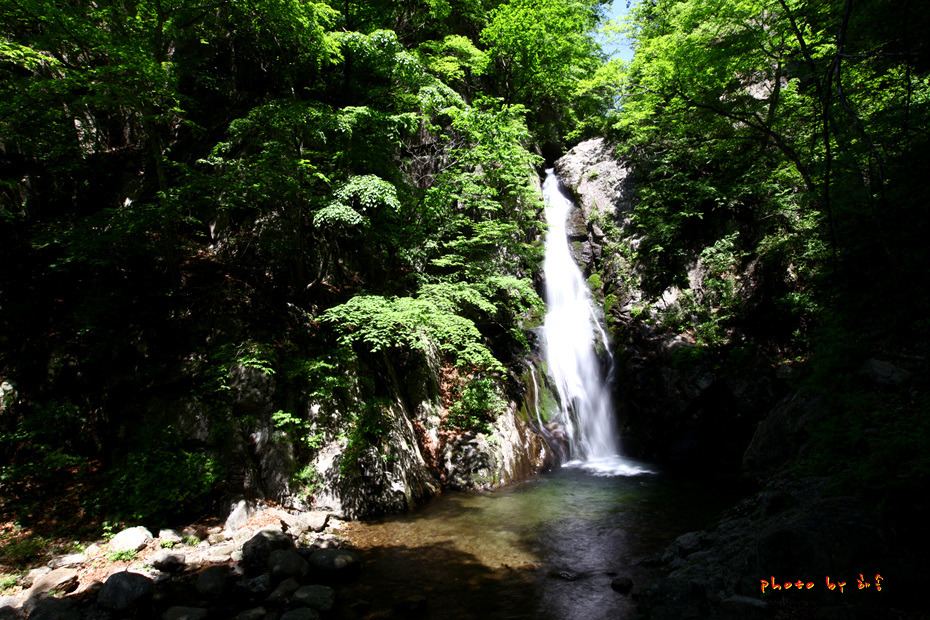소백산 철쭉 길을 걷다..2018.5.26