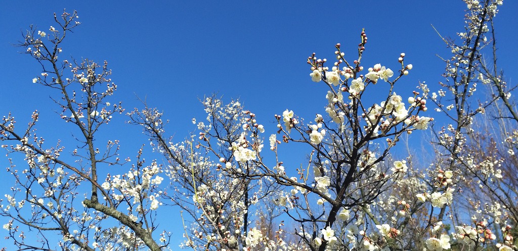 수경신 守庚申 2019.03.24