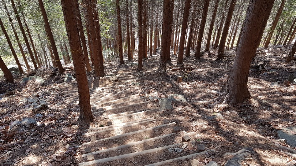 불모산과 장복산 꽃길만 걸었다