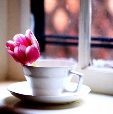 99762D485B990AD201A4A4