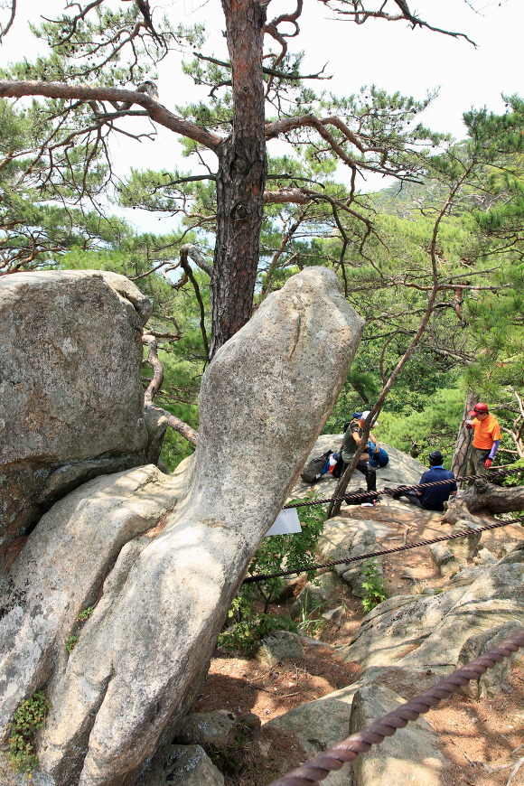 * 괴산 칠보산, 쌍곡계곡 산행기