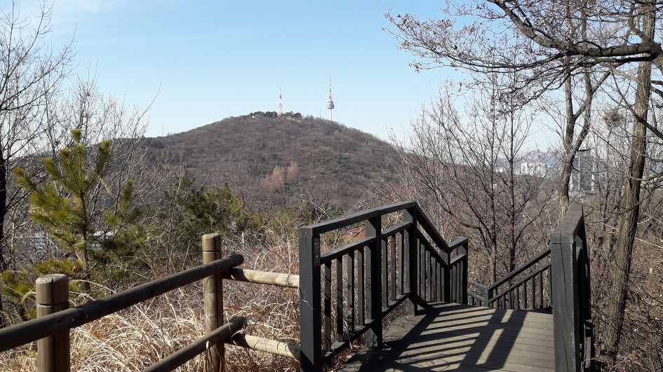 대현산 응봉공원 6.31km