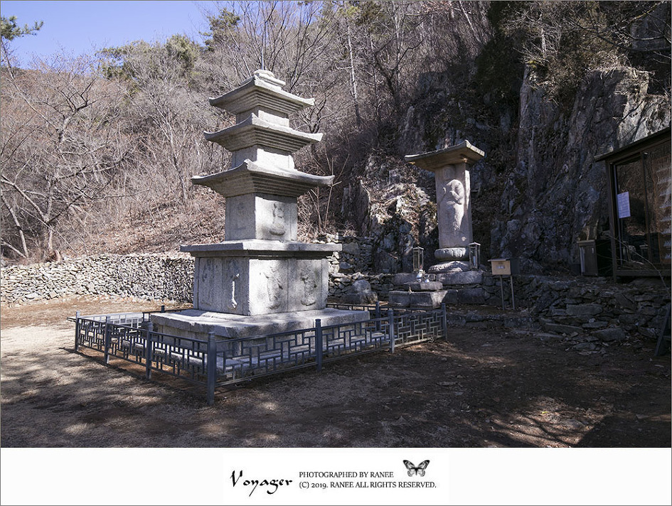 [순천] 봄의 전령사 금둔사 납월매