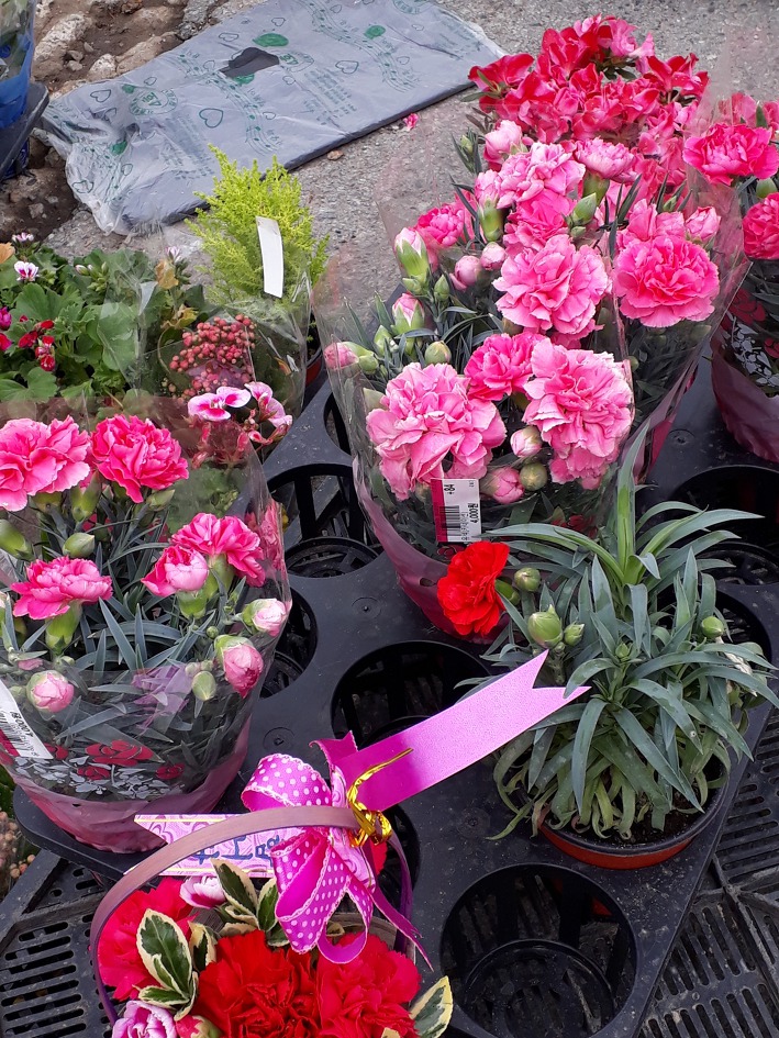 어버이날에 가슴에서 사라진 카네이션