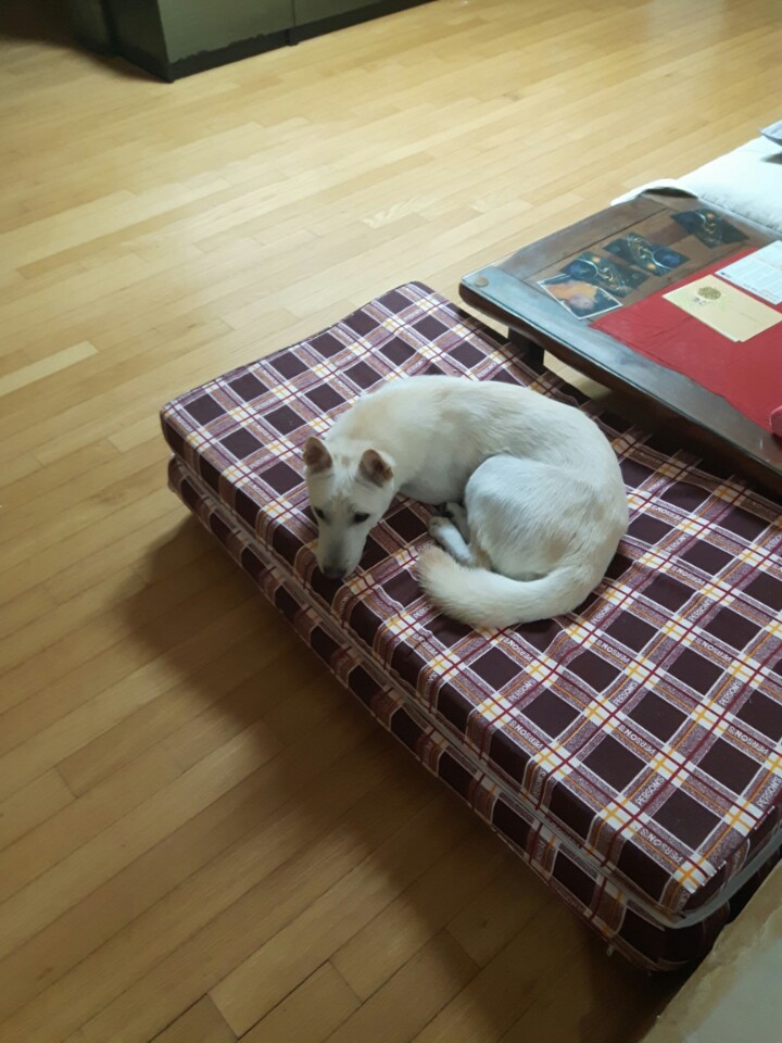 섹시한 엉덩이
