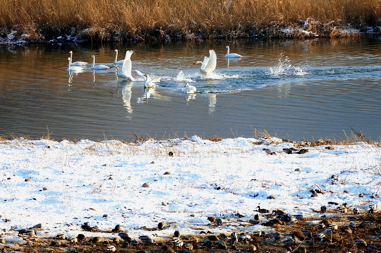 998F5D345DF4F1F91EB9BE