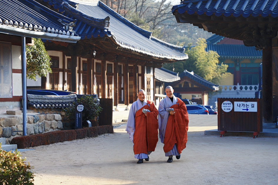 모델 스님 (통도사. 2019.02.05.화)