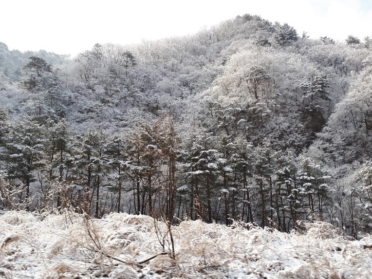도대체 나는 누구의 삶을 살고 있는가