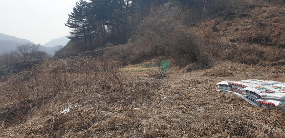 사진:유명산과 유명계곡! 가평설악면(대지)주택지급매